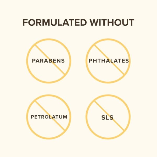 Burt's Bees All-Weather SPF15 Moisturizing Lip Balm - Image 3